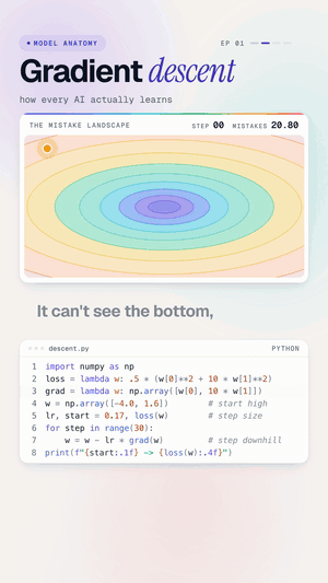 01 · Gradient descent